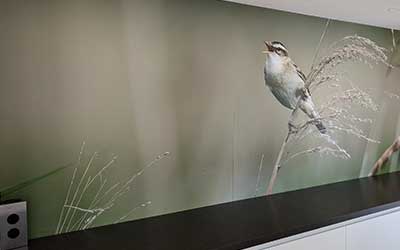naadloos behang vogel